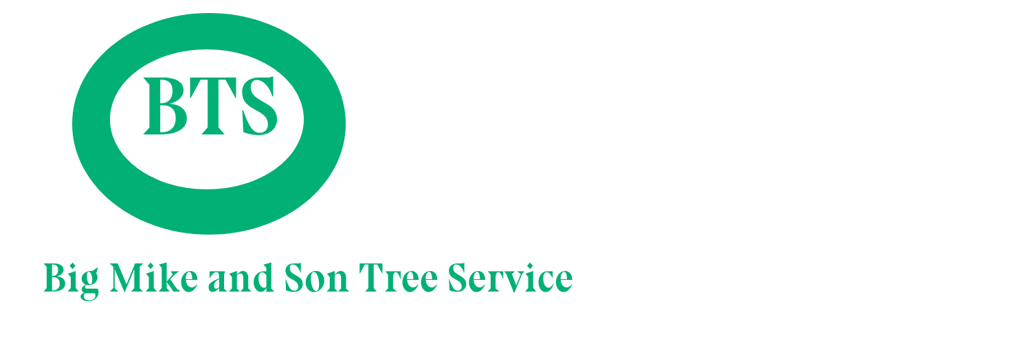 Tree Service